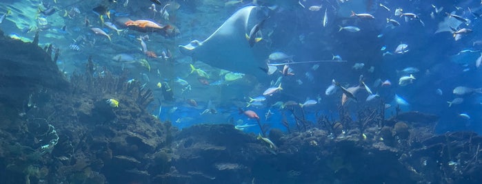 Beijing Aquarium is one of Beijing - Tour & Travel.