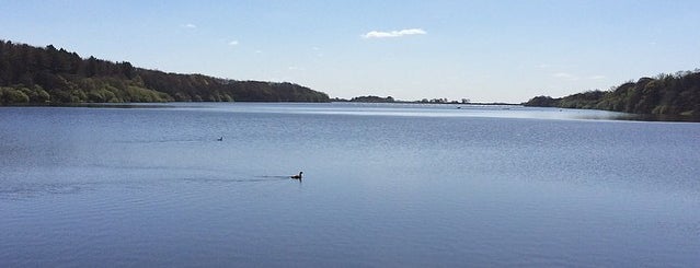 Rivington is one of Otto’s Liked Places.