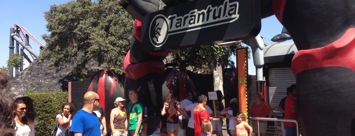 Tarántula is one of Posti che sono piaciuti a Felix.