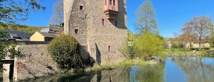 Schloss Vollrads is one of Germany Reine Region.