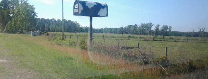 The Big Cow Mailbox is one of Savannah.