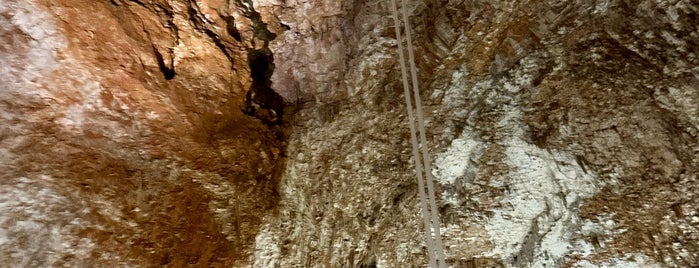 Grotta Gigante is one of salvavita.
