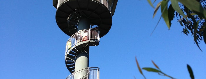 Illawarra Fly Treetop Walk is one of Fun Stuff for Kids around NSW.
