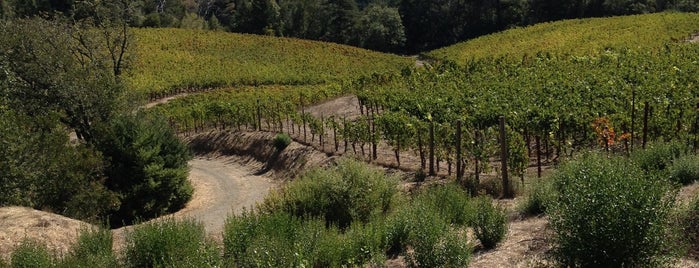 Montemaggiore Winery is one of 2012 Wine Country Pass Wineries.
