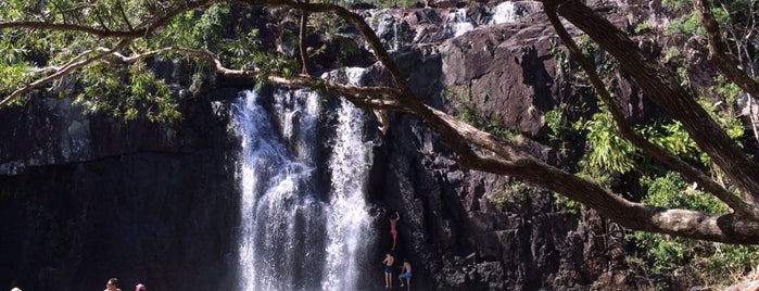 Cedar Creek Falls is one of Australia favorites by Jas.