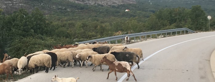 Granični prelaz Vraćenovići (MNE) – Deleuša (BiH) is one of Celal 님이 좋아한 장소.