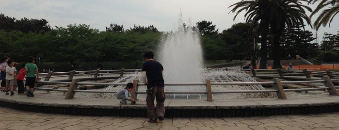 Hamadera Park is one of 公園.
