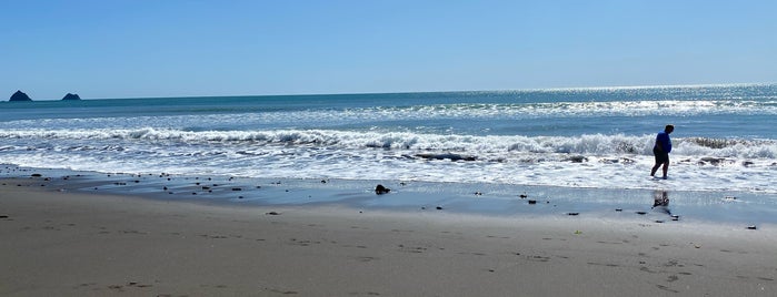 East End Beach is one of New Plymouth To-Do List.