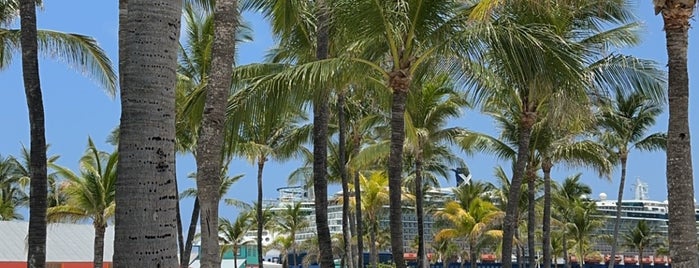 Coco Cay Beach is one of Cruise Ports.