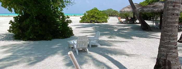Rihiveli Beach Resort is one of MALDIVES.