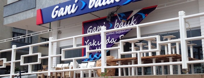 Gani Balık Restaurant is one of สถานที่ที่ Aysecikss ถูกใจ.