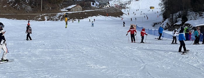 Top picks for Ski Areas