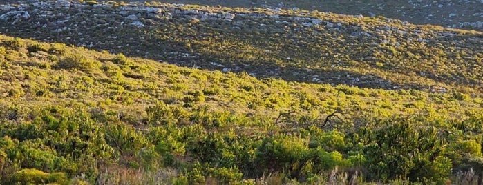 Cape Point Nature Reserve is one of Südafrika.