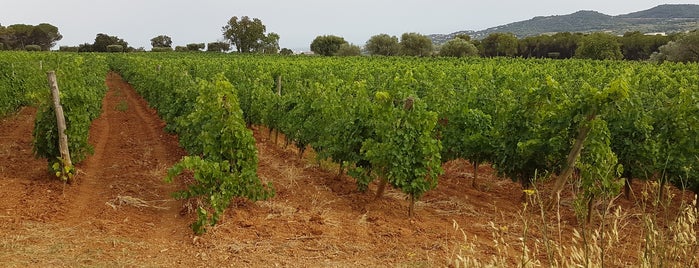 Clos D'Agon is one of Catalonia & Balearic Wine World.