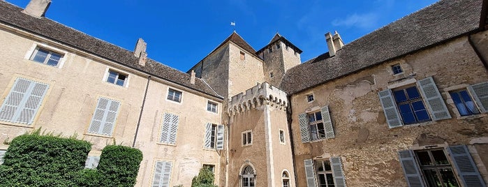 Chateau De Rully is one of Burgundy.