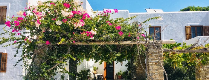 Swiss Home Hotel is one of Paros island.