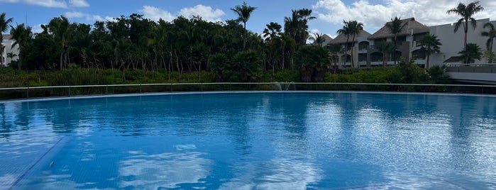 Sax Pool is one of Punta Cana.