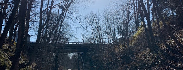 Middlesex Greenway is one of Lugares favoritos de Michael.