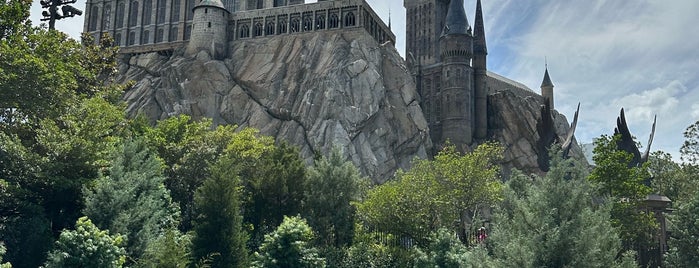 The Wizarding World Of Harry Potter is one of Disney 2018.