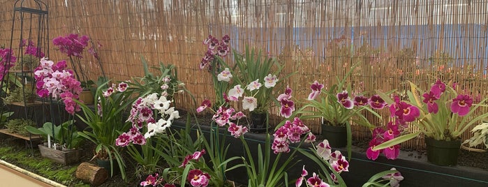 Akatsuka Orchid Gardens is one of Lieux qui ont plu à Dana.