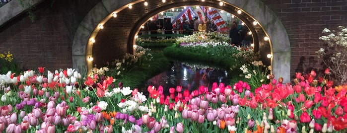 Philadelphia Flower Show is one of Locais curtidos por Sonia.