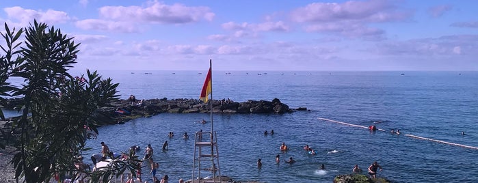 Alipaşa Plajı is one of Black Sea Tour.