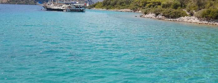 Kameriye Adası is one of Mavi Tur.