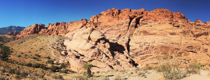 Red Rock Canyon National Conservation Area is one of Lugares favoritos de Natalie.