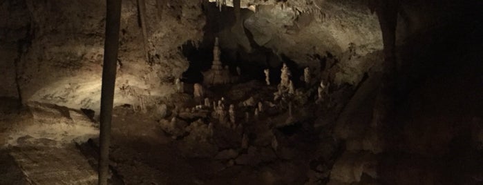 Cave of the Winds is one of สถานที่ที่ Natalie ถูกใจ.