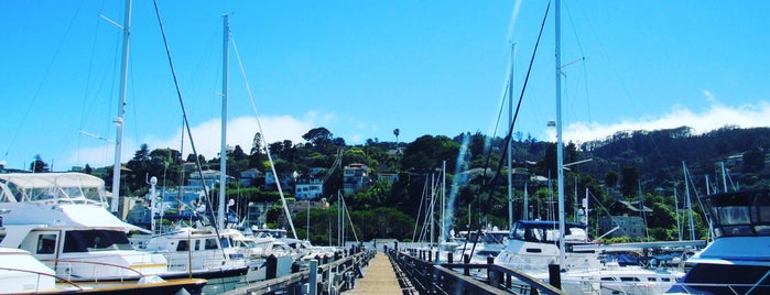 Sausalito Yacht Harbor is one of Natalieさんのお気に入りスポット.