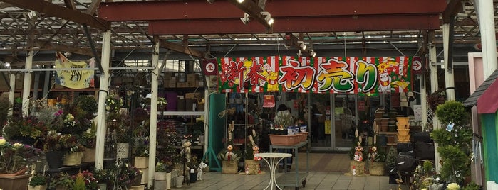ガーデンガーデン 愛子本店 is one of Orte, die Gianni gefallen.