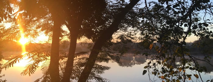 Clube De Golfe De Campinas is one of Brasil | São Paulo.