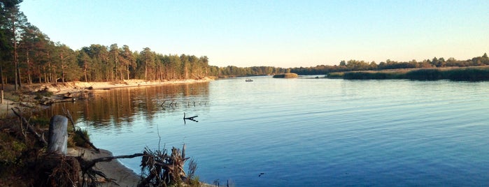 Gaujas Ieteka | Gauja Estuary is one of Latvia.