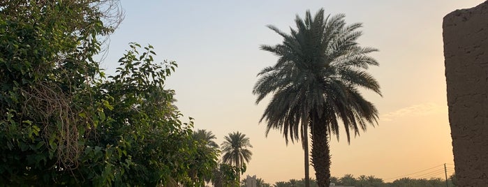 مزرعة الحيدر is one of Around Riyadh - Experiences.