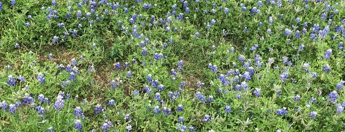 Terry Hershey Bike Trail is one of Houston.