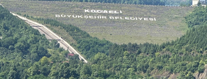 Kocaeli Büyükşehir Belediyesi is one of surekli.