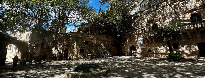 Castello di Carovigno is one of Puglia.