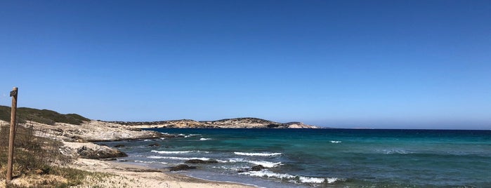 Lioliou Beach is one of Σχοινούσα.
