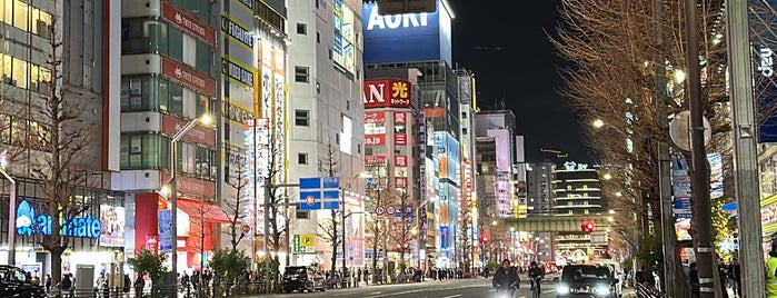Akihabara is one of Heinie Brian's Saved Places.