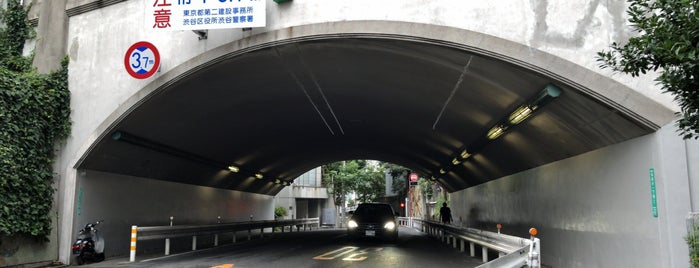 西郷山トンネル is one of 東京隧道.
