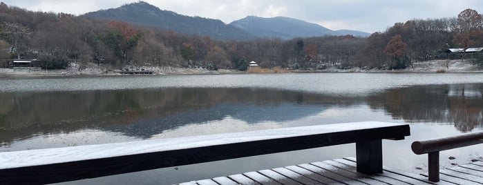 紫金山 Purple Mountain is one of Nanjing.