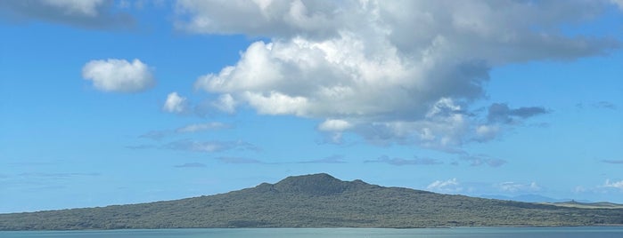 Mount Victoria Reserve is one of New Zealand.