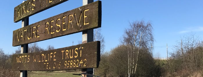 King's Meadow Nature Reserve is one of nature.