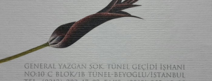 Takil Pera is one of Beyoğlu.