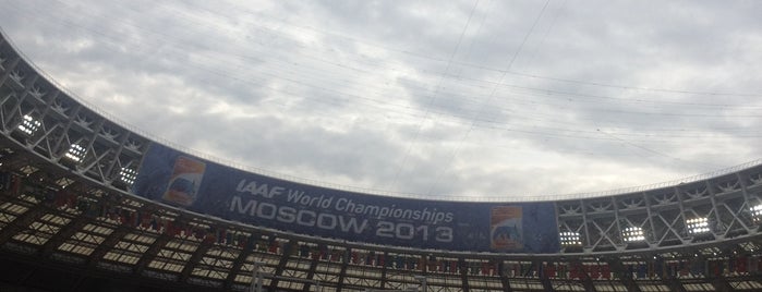 Svetsko prvenstvo u atletici Moskva 2013