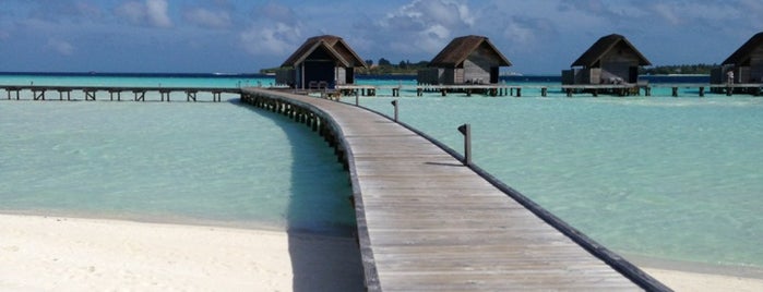 Cocoa Island Resort is one of สถานที่ที่ Atti ถูกใจ.