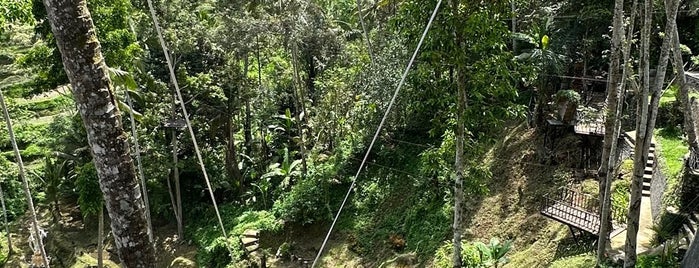 Uma Pakel Swing is one of Bali.