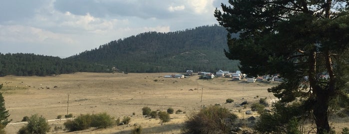 Gerenözü Yaylası is one of Bushcraft.