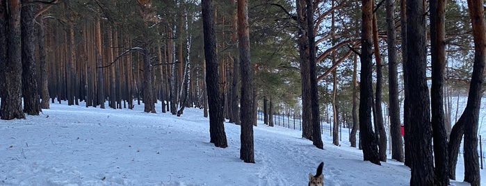 Гагаринский парк is one of Walks/Прогулки.