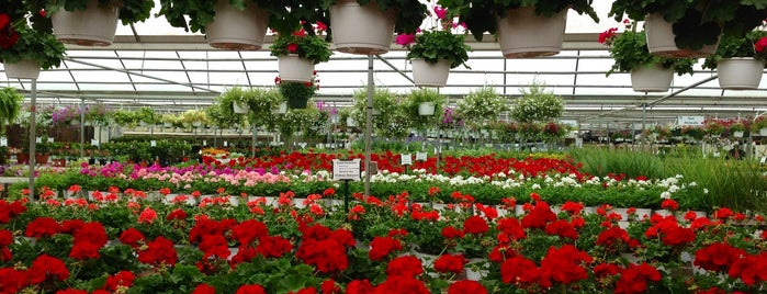 TLC Nursery and Greenhouses is one of okc.